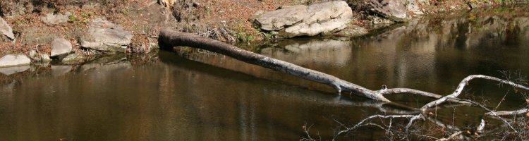 Purdue Hydrology